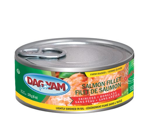 Dagim Salmon Fillet