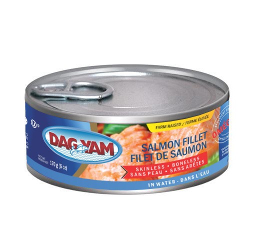 Dagim Salmon Fillet